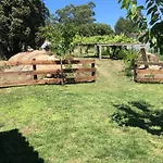 Casa Nicolas